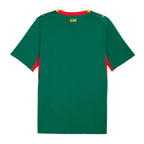 Camiseta Senegal Mundial 2026 - 2ª Equipación