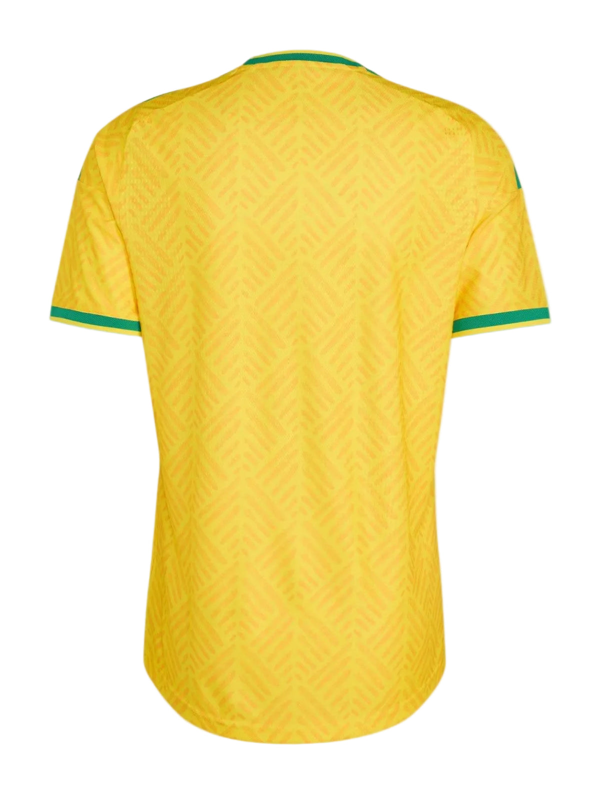 Camiseta Sudáfrica Mundial 2026 - 1ª Equipación