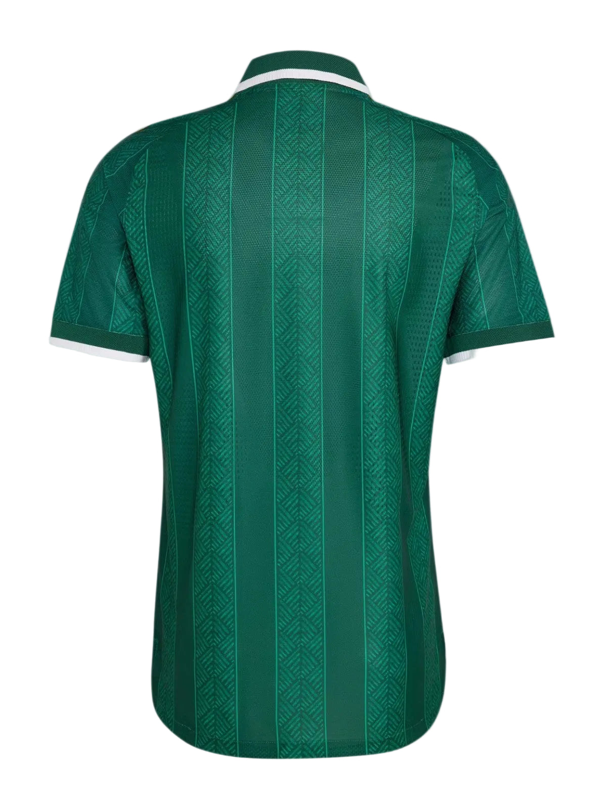 Camiseta Sudáfrica Mundial 2026 - 2ª Equipación