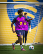 Camiseta Fc Barcelona 2025/26 - 1ª Equipación Entrenamiento