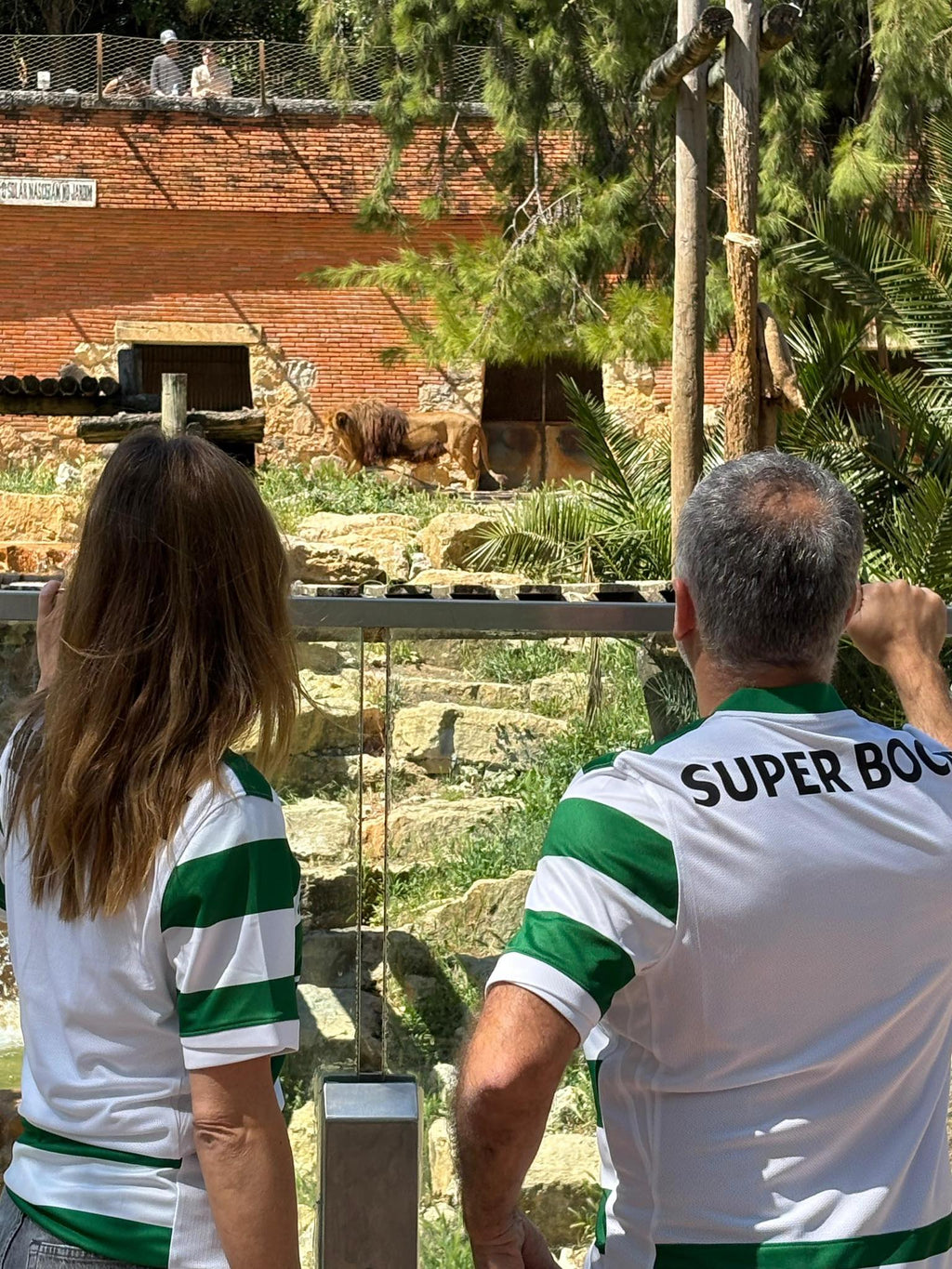 Camiseta Sporting Lisboa 2025/26 - 1ª Equipación