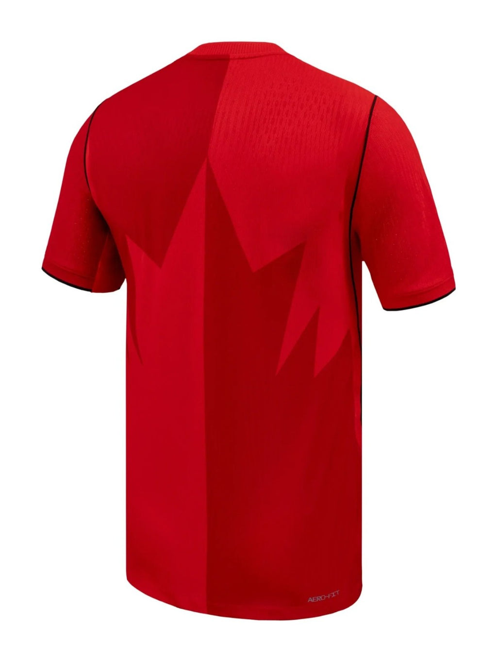 Camiseta Canadá Mundial 2026 - 1ª Equipación