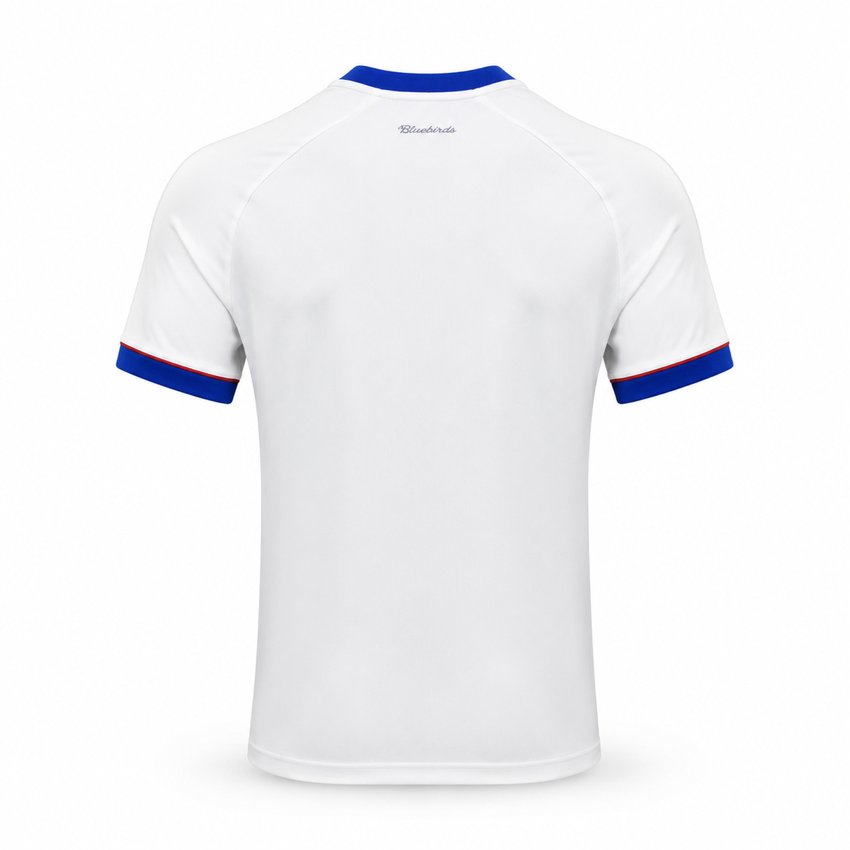 Camiseta Cardiff City 2026/27 - 2ª Equipación
