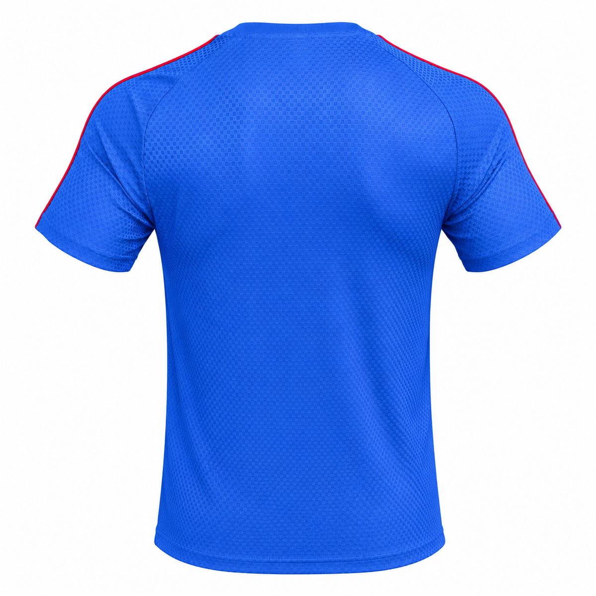 Camiseta Manchester United - Edición Especial Azul - Trasera